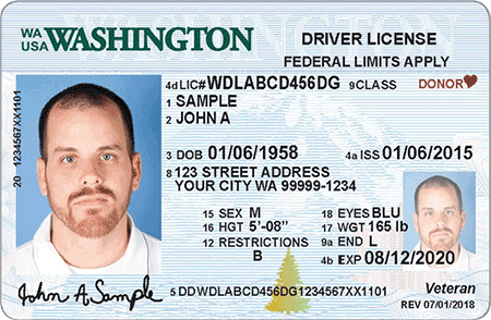 Driver's License Format by State