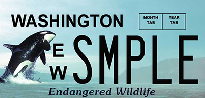 Endangered Wildlife (orca) license plate
